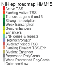 Figure 5: Annotation colors with the chromatin state description.