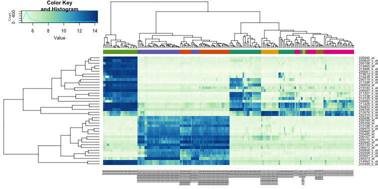 Figure 3: Heatmap: unsupervised clustering of samples using the distribution of the expression data combined with the clustering of genes based on their expression through the samples.