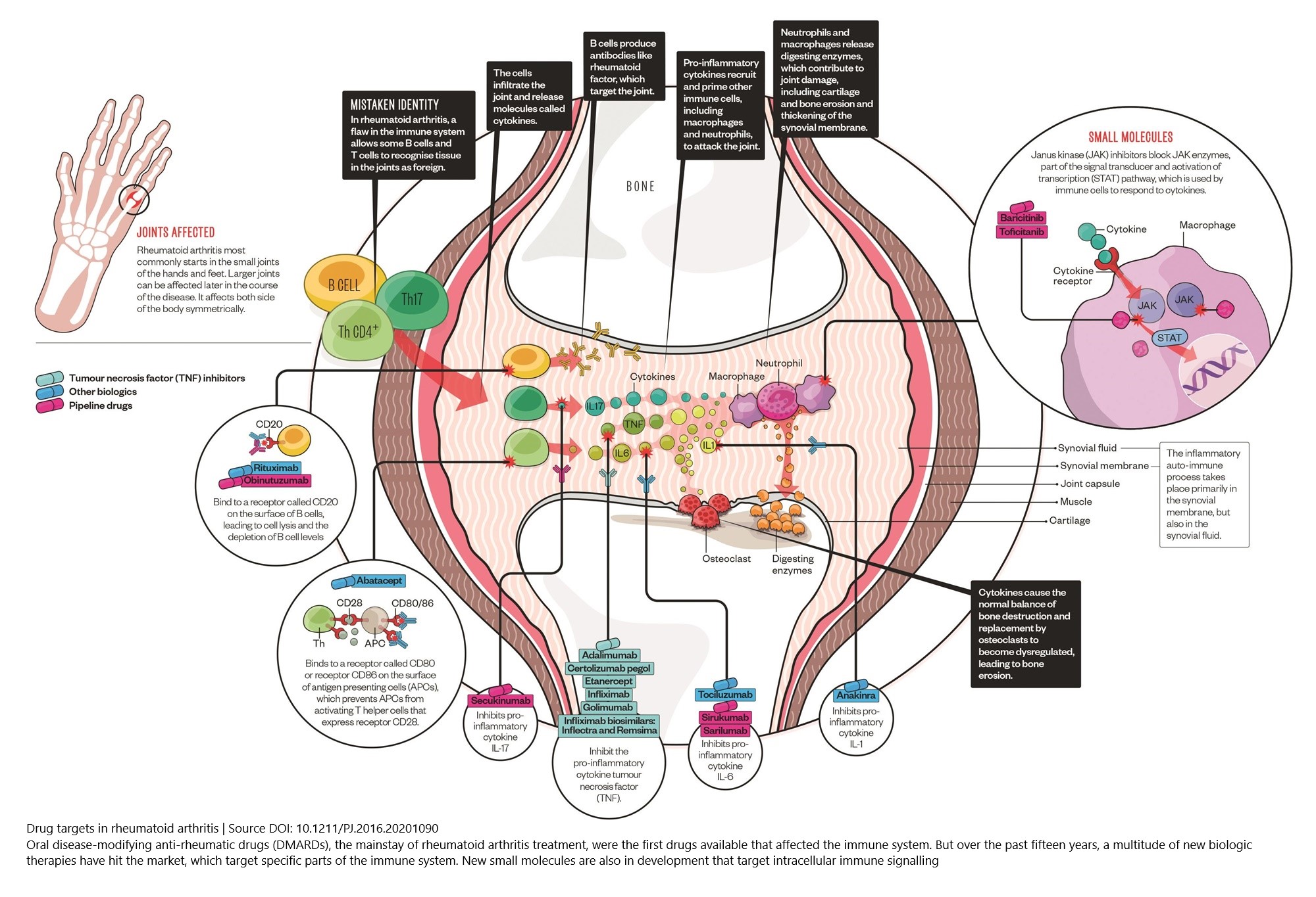 Figure 1: Cell types, cytokines, and chemokine receptors as rheumatoid arthritis drug targets (Source DOI: 10.1211/PJ.2016.20201090)