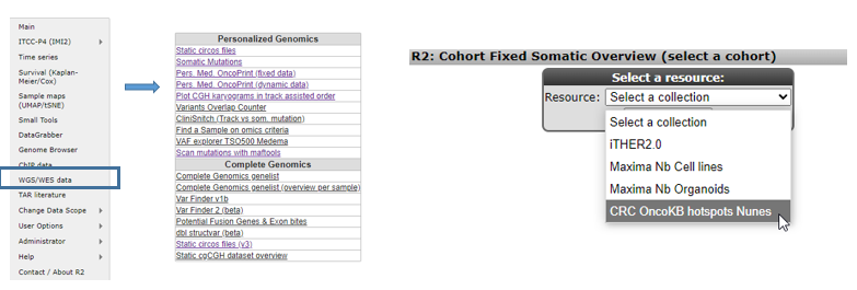 Select  OncoPrint