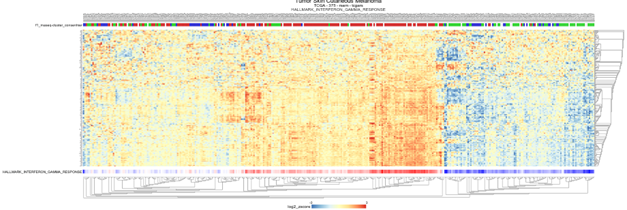 heatmap